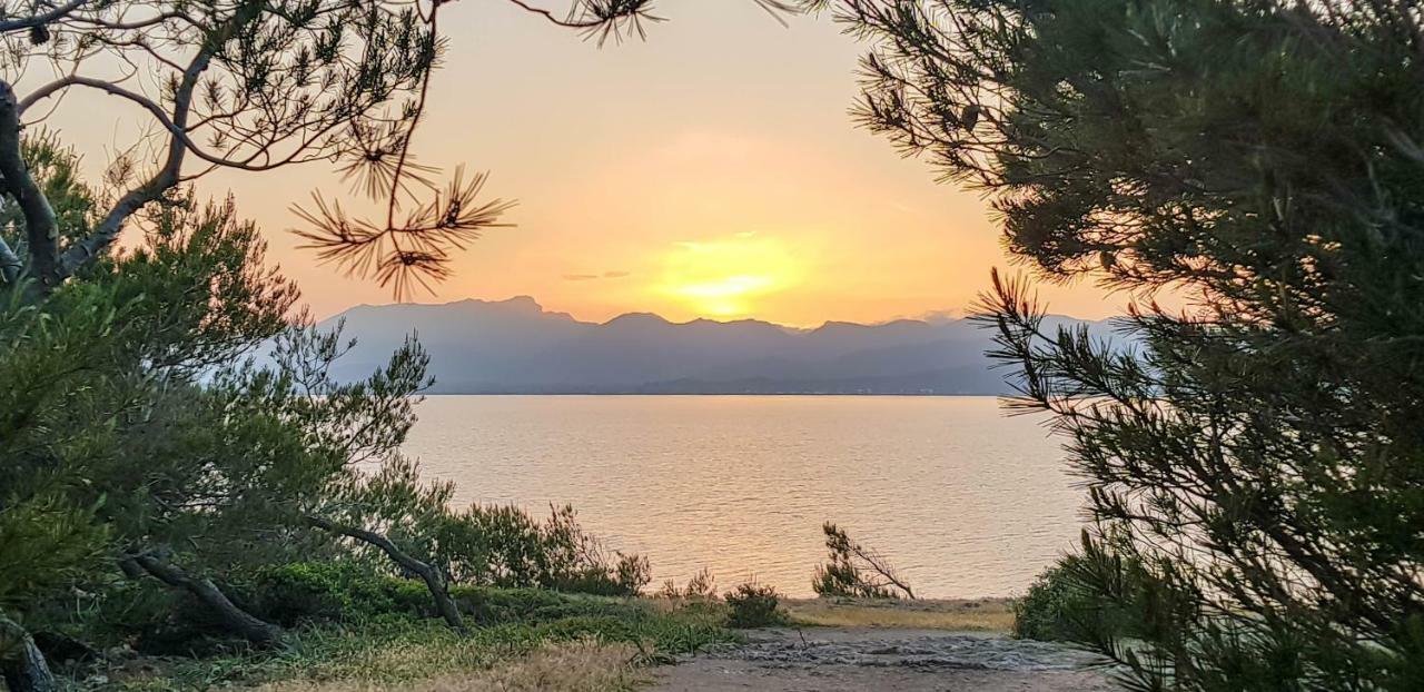 Es Fasser Alcúdia Eksteriør bilde
