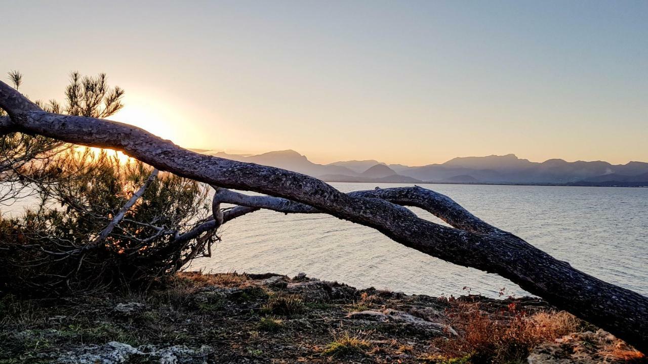Es Fasser Alcúdia Eksteriør bilde