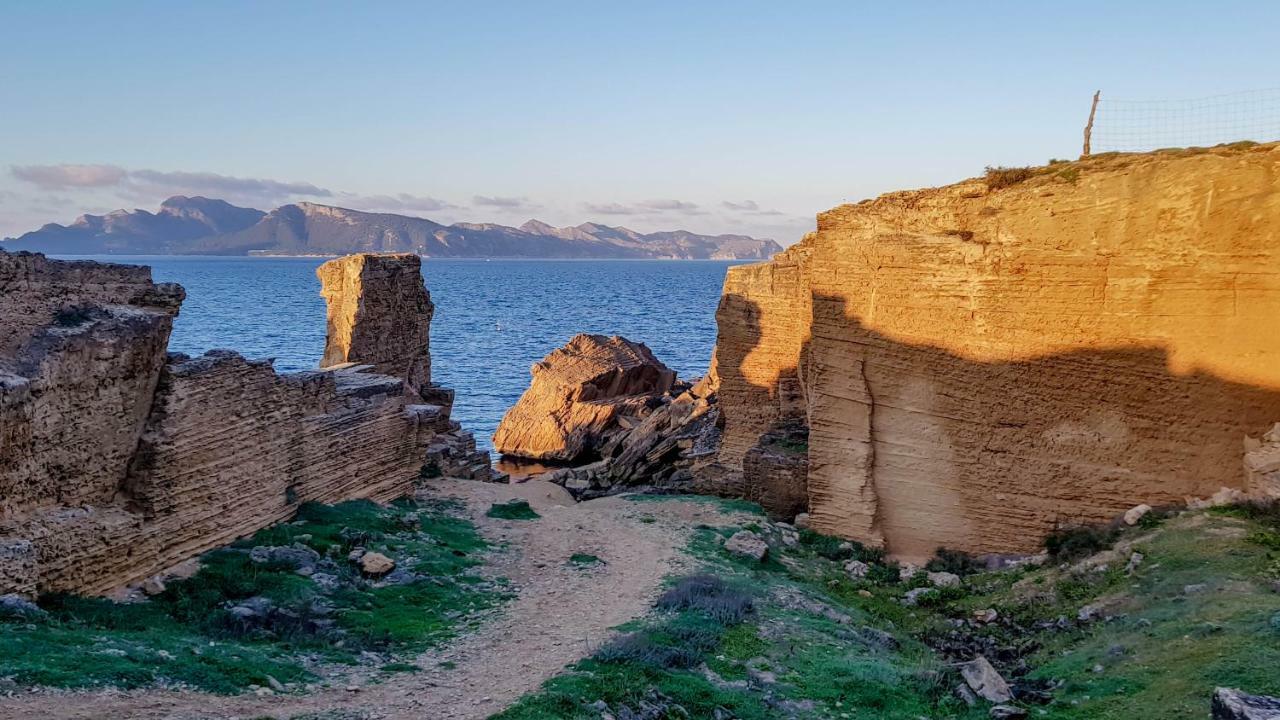Es Fasser Alcúdia Eksteriør bilde