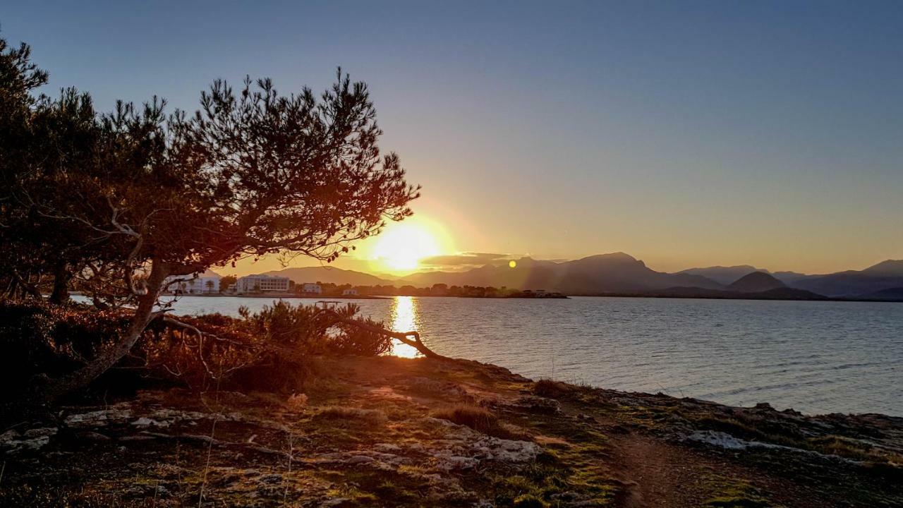 Es Fasser Alcúdia Eksteriør bilde
